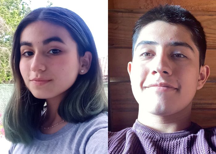 Aprendizaje a distancia