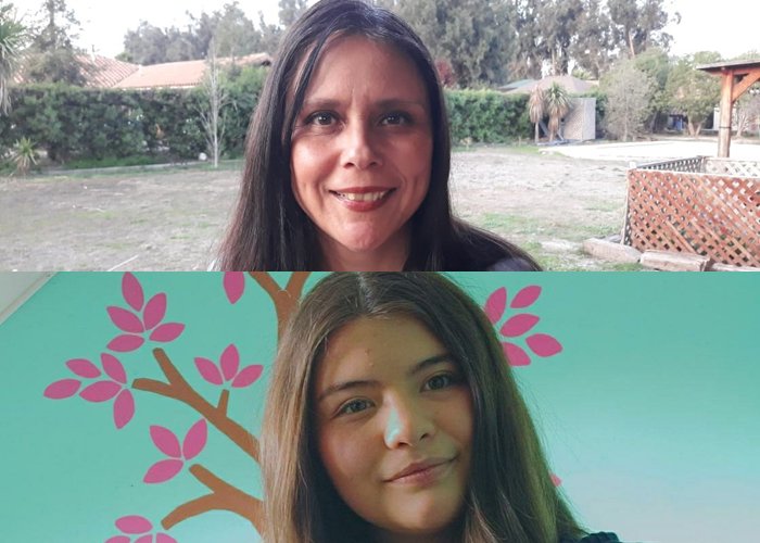 Aprendizaje a distancia