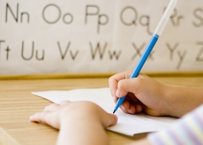 Temarios Pruebas Globales y Anuales 2° Semestre 2017