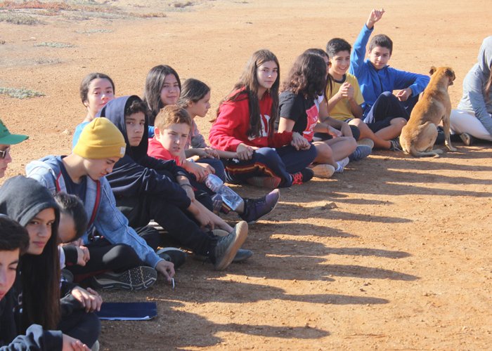 Tercer Ciclo: Apelando a la contención emocional de nuestros estudiantes